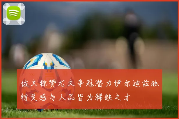 佐夫称赞尤文争冠潜力伊尔迪兹独特灵感与人品皆为稀缺之才