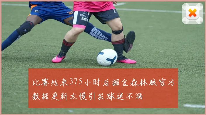 比赛结束375小时后掘金森林狼官方数据更新太慢引发球迷不满