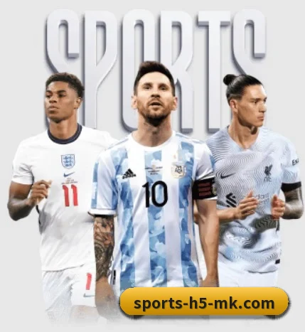 MK体育 APP | mksports